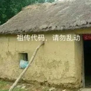 bug是什么意思