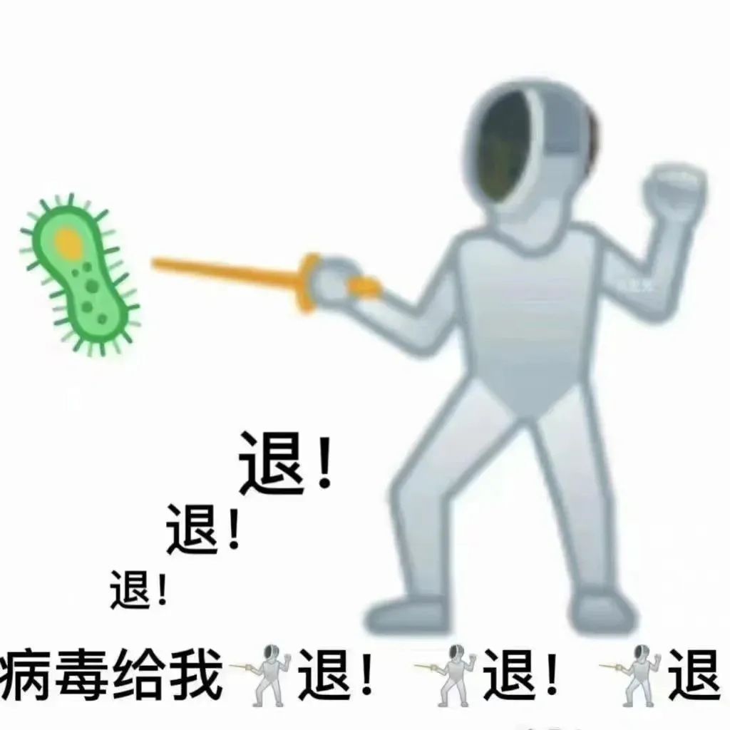 bug是什么意思