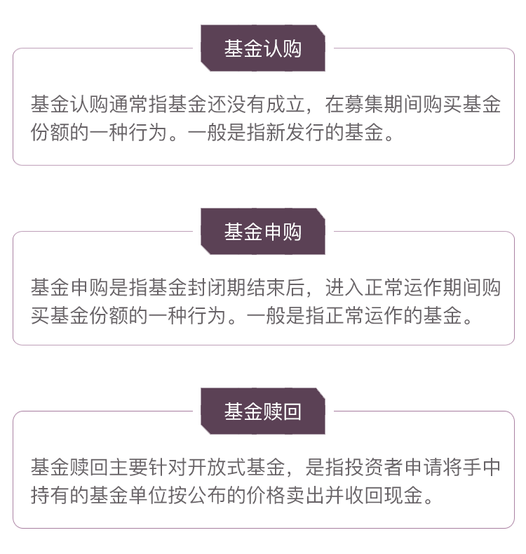 基金小白入门