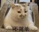 如何利用兴趣发展副业