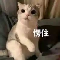 如何利用兴趣发展副业