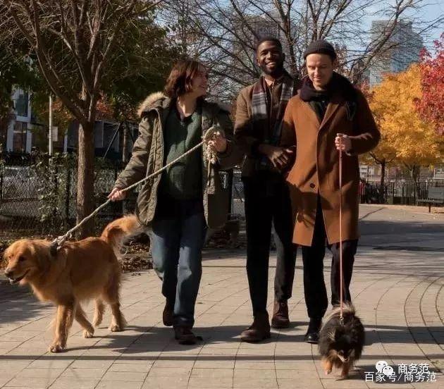 职场小白什么意思