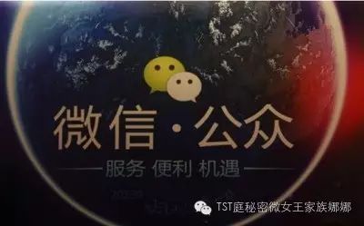 公众号制作