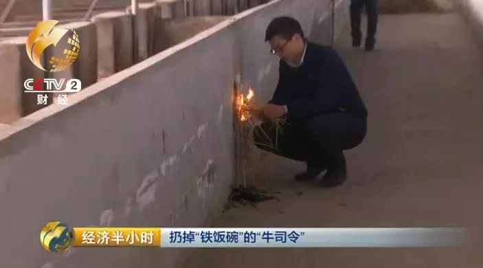 草料二维码生成