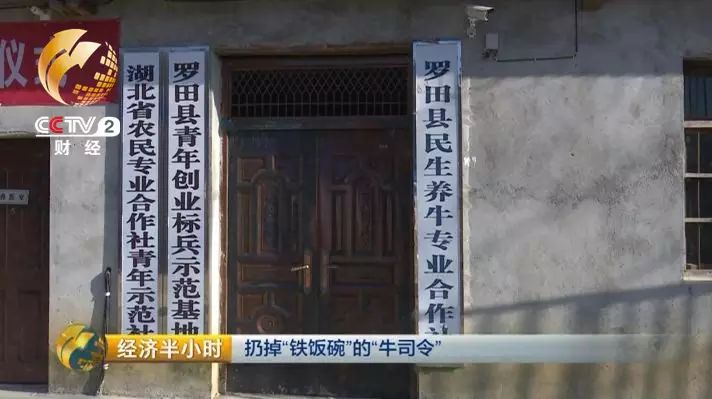 草料二维码生成