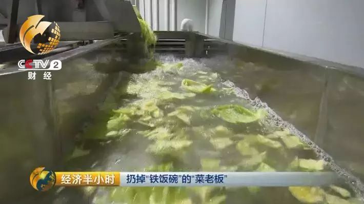 草料二维码生成