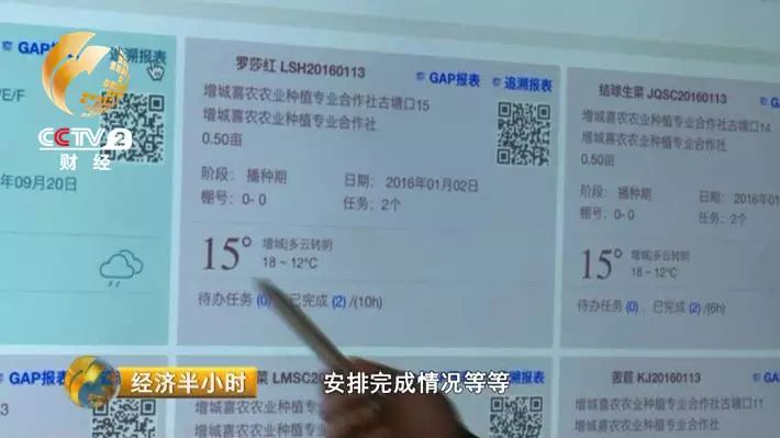 草料二维码生成