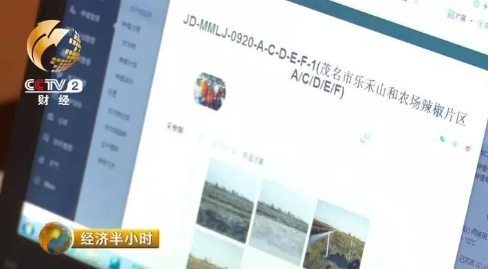 草料二维码生成