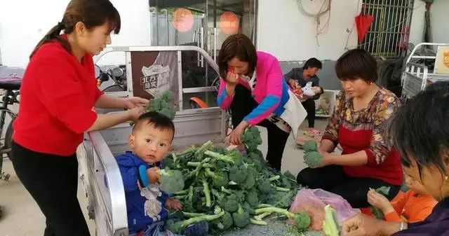 做啥小生意灵活赚钱