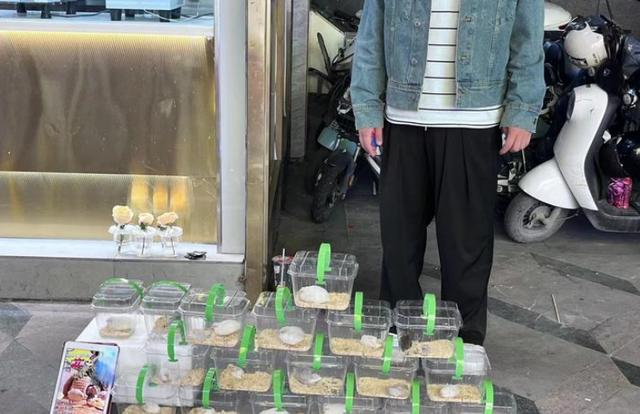 副业排行