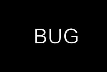 bug是什么意思
