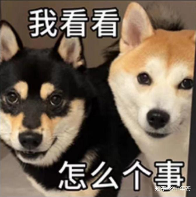 小白下班赚零花钱