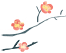 答题领红包
