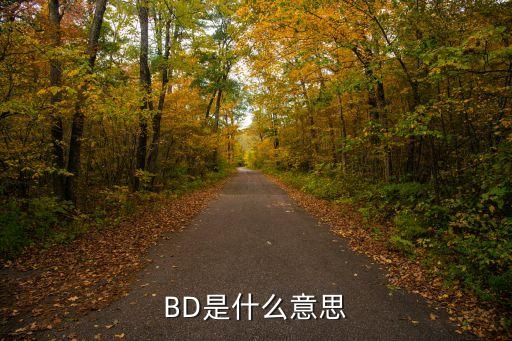 BD是什么意思