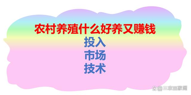 特色养殖项目有哪些