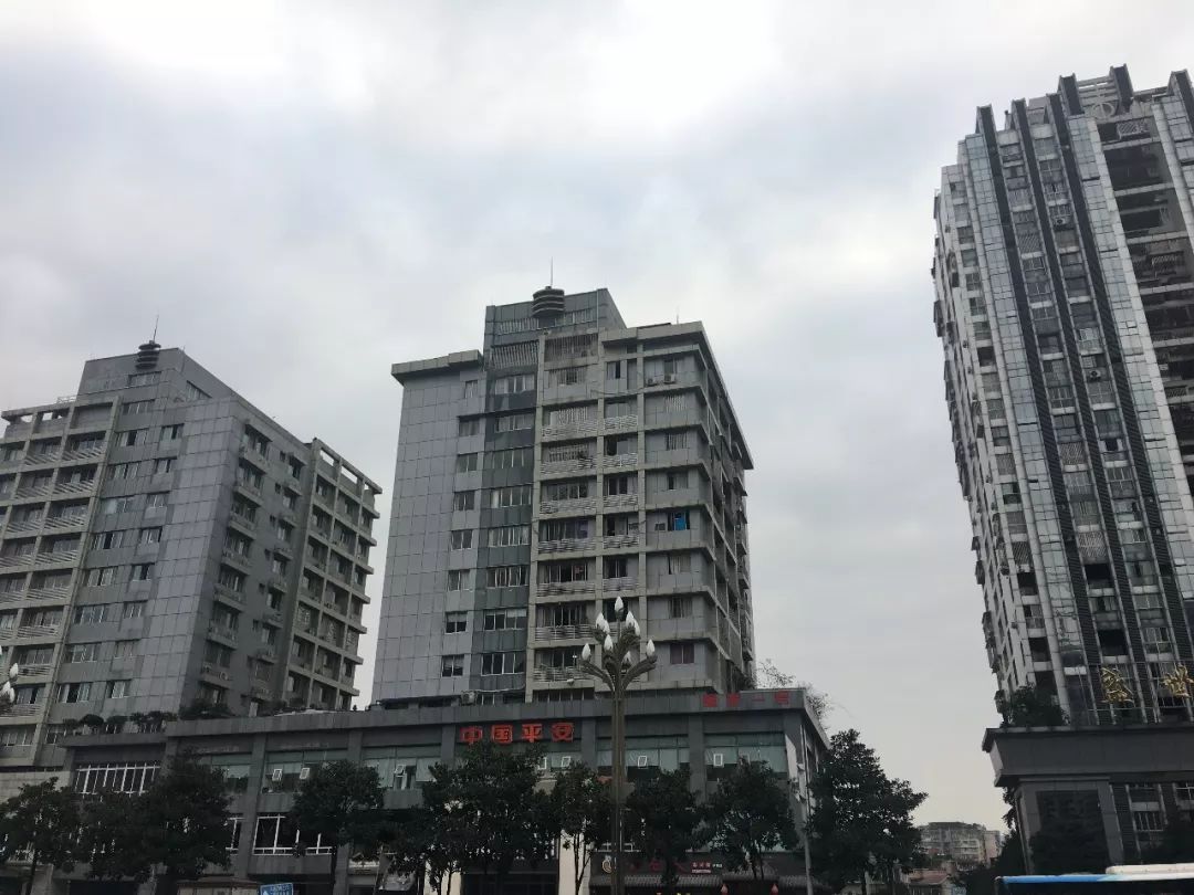 现在无本致富的商机