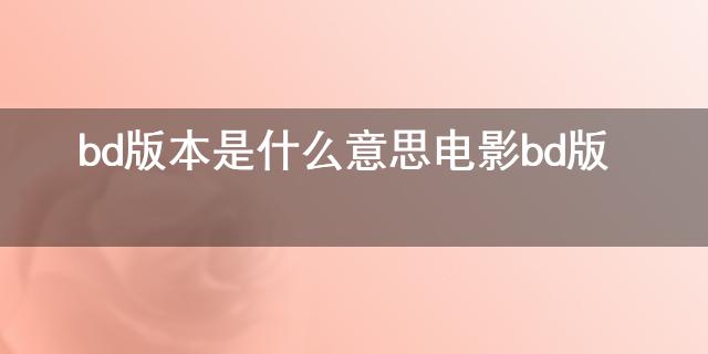 bd是什么意思