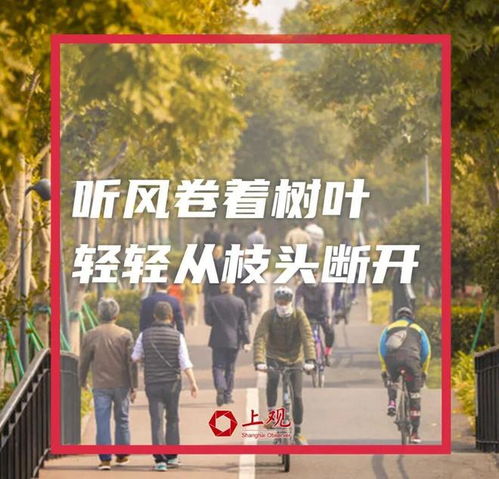 手机上副业赚钱可以做什么 手机上能搞的副业有哪些