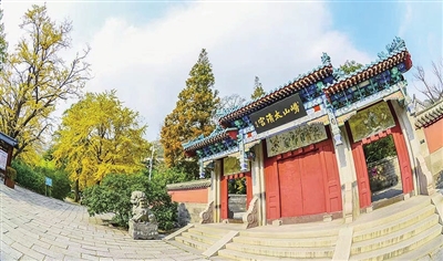 运营管理