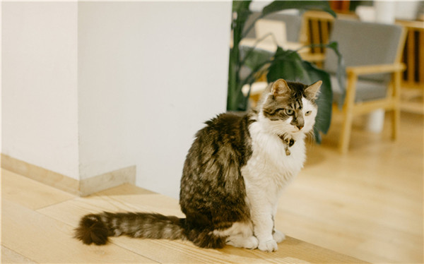 新风口项目创业 新风口项目创业