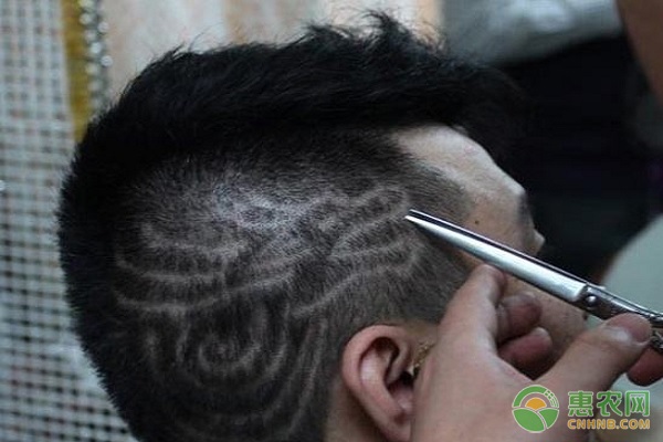 利润很高的小众生意推荐