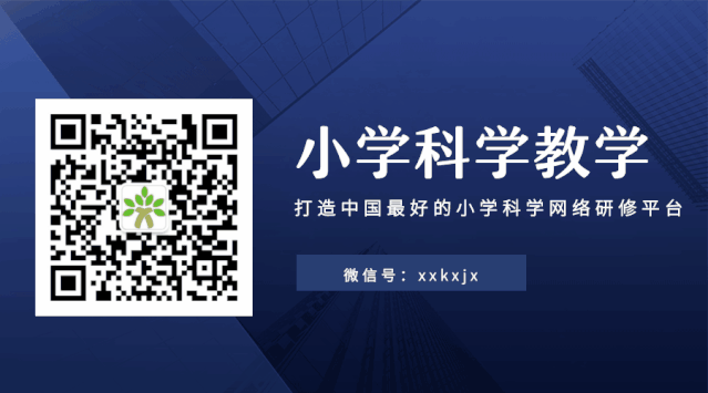网络工作室