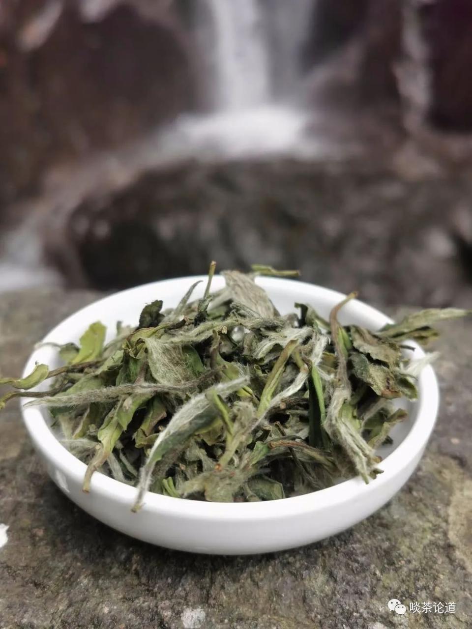 茶叶生意好做吗 茶叶生意好做吗