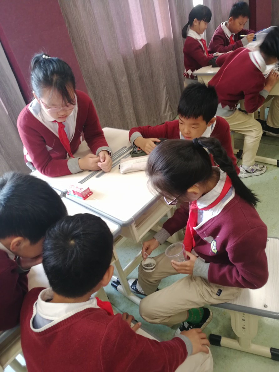 网络工作室