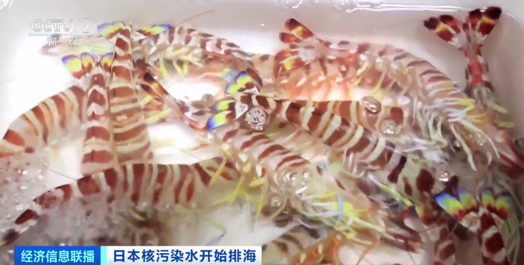 2元店从哪里进货 2元店从哪里进货