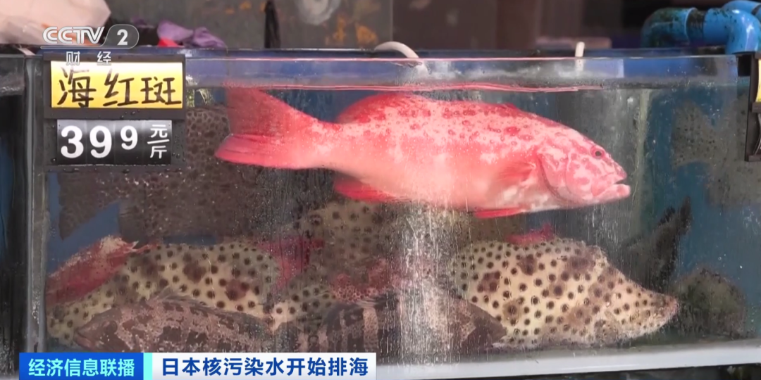 2元店从哪里进货 2元店从哪里进货