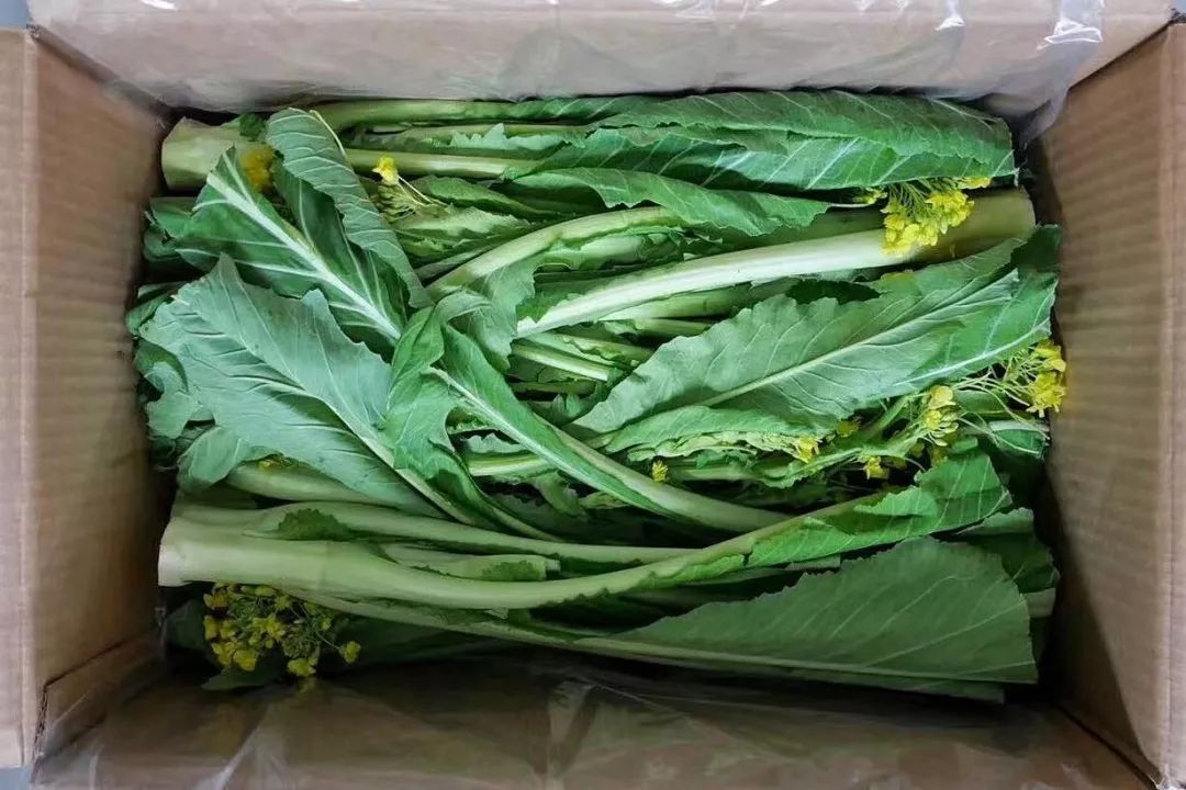 1年1度有意思好物