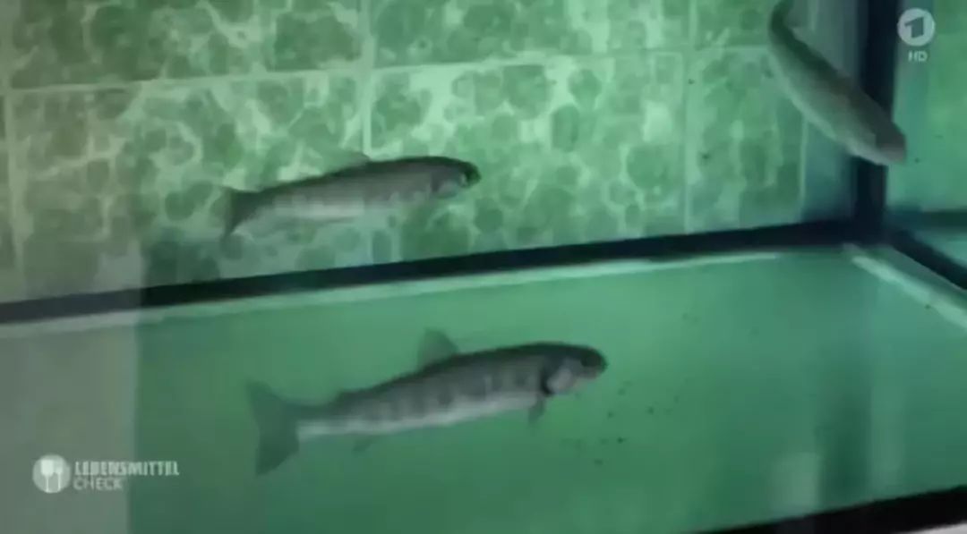矿泉水标准