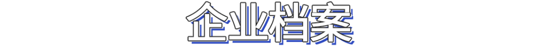 掌盟