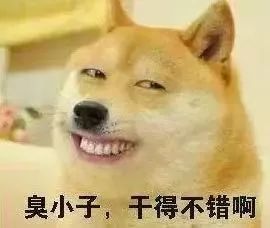 基金怎么玩才能赚钱