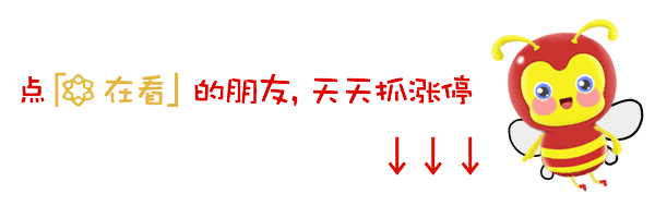 视监什么意思