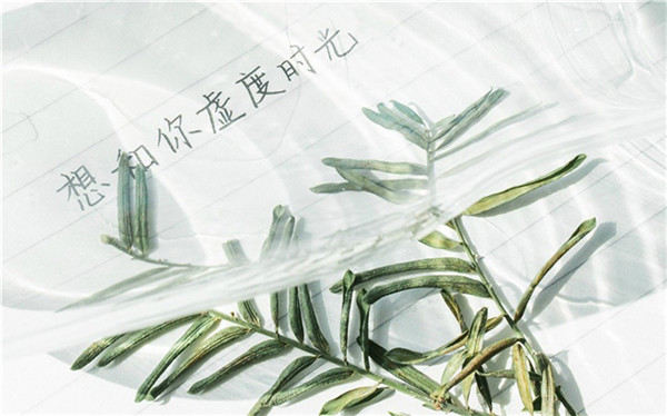 新风口项目创业 新风口项目创业