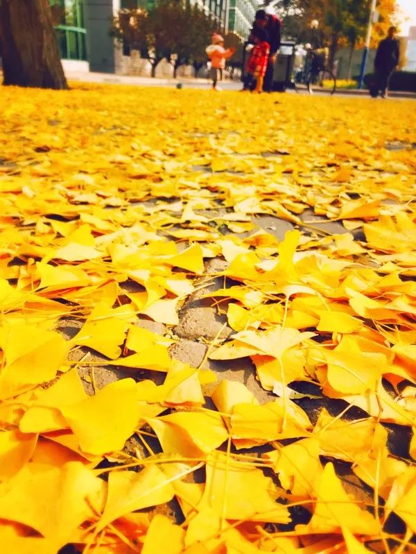 安全教育 安全教育