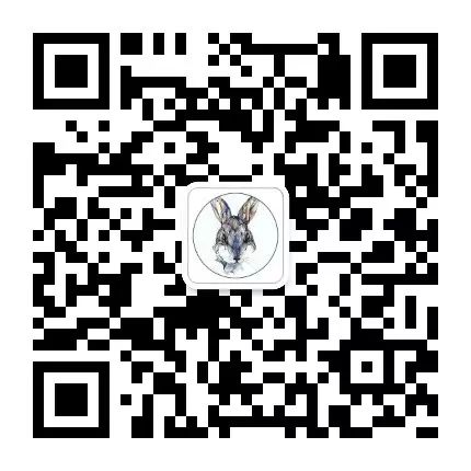 斜杠青年做哪些兼职