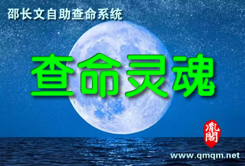 数字人生
