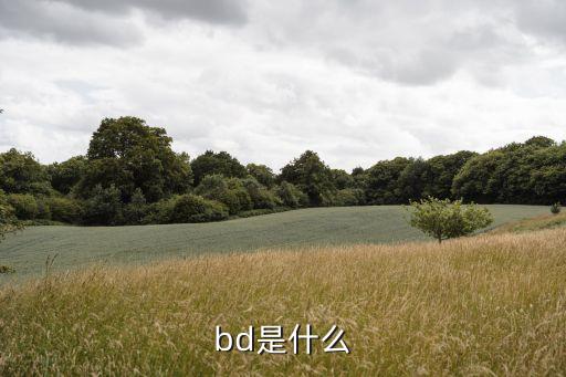 bd是什么