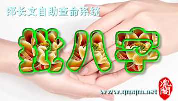 数字人生