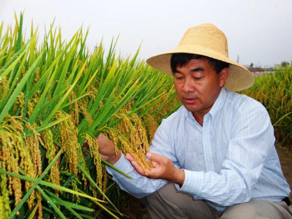 实用致富技术100例