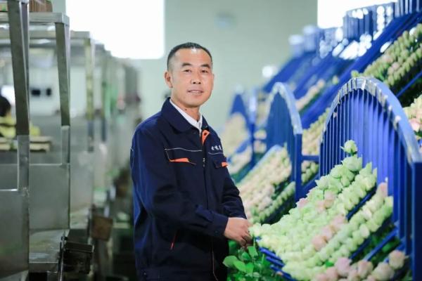 实用致富技术100例