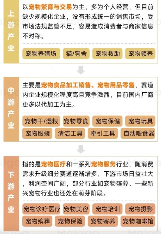 00后最吃香的十大行业