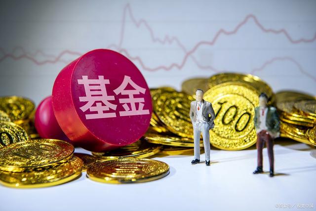 基金也会涨吗