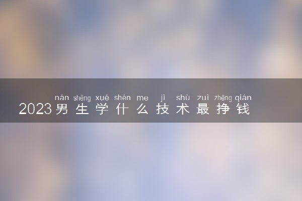 男生学什么技术最挣钱