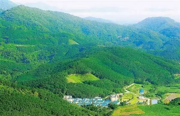 服务乡村项目案例