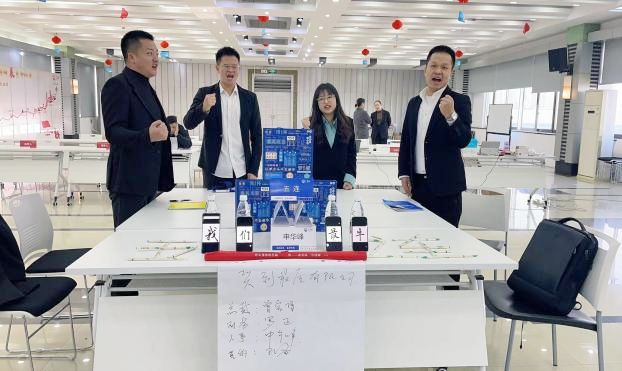蓝海项目成功案例分析