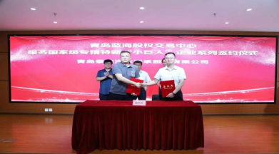 蓝海项目成功案例分析