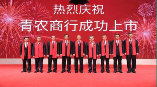 蓝海项目成功案例分析